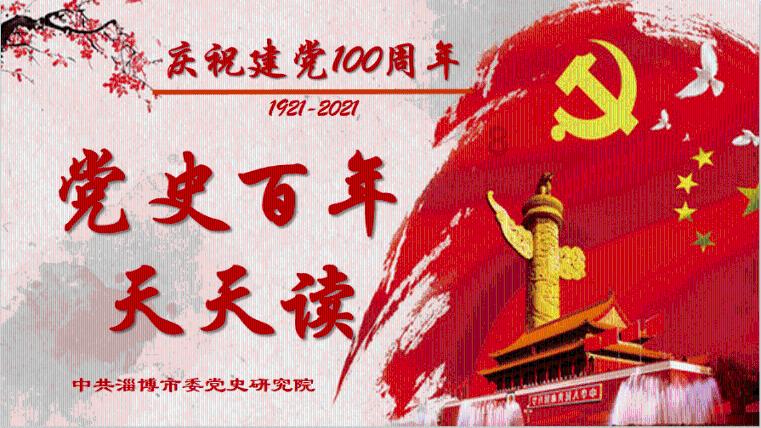 救援受困的小野猫